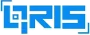 QRIS